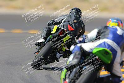 media/Oct-08-2022-SoCal Trackdays (Sat) [[1fc3beec89]]/Turn 11 Backside (1145am)/